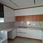 عباس عباسی بروجردی