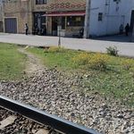 نانوایی بربری