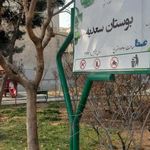 بوستان سعدی