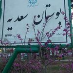 بوستان سعدی