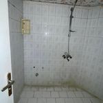 سید علی یار حسینی احمد فداله