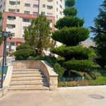 باشگاه ورزشی لیوا Liva wellness studio