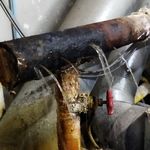 حمید گودرزی