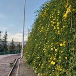 پارکینگ بوستان نهج البلاغه فاز ۱