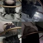 مرکز تخصصی اسکالپ و فیشال دینا شبانی