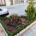 خدمات باغبانی باغچه کاری تعویض خاک گلدان