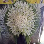 گل فروشی دنیز (آنلاین) -ارسال فوری