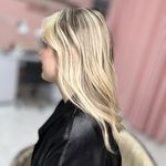 رنگ و لایت سلیمانی