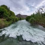 اجاره روزانه ویلا باغ و سوئیت محمدی