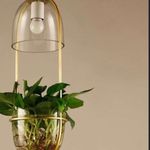 راشاالکتریک