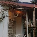 نقاشی رنگارنگ