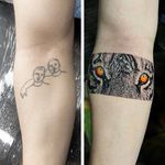 خدمات کاوراپ تتو،تتو