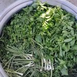 پیاز داغ خونگی