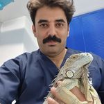 کلینیک دامپزشکی دنا