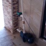 مسلم نادری دیماجانکش