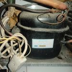 محمد رضایی عبده