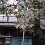 دفترخانه اسناد رسمی ۳۳ تهران