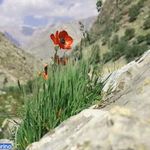 منطقه دیدنی باجول