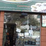 صبا باطری