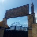 شرکت پاکدام پارس