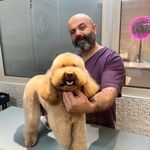 کلینیک دامپزشکی دکتر نیک پنجه