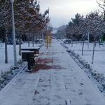 پارک فیزادان