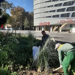 بانک گردشگری شعبه میدان جهاد