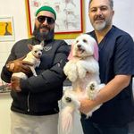 کلینیک دامپزشکی تخصصی دکتر تقی‌زاده