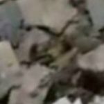 عباسعلی شمس ناطری