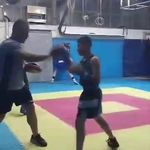 کلاب بوکس شاهین