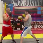 کلاب بوکس شاهین