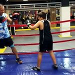 کلاب بوکس شاهین