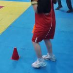 کلاب بوکس شاهین