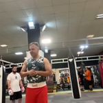 کلاب بوکس شاهین