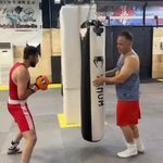 کلاب بوکس شاهین