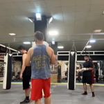 کلاب بوکس شاهین