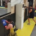 کلاب بوکس شاهین