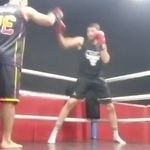 کلاب بوکس شاهین