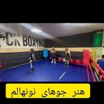 کلاب بوکس شاهین