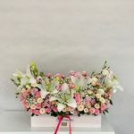 کافه گل الینا