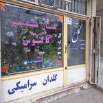 گلستان همیشه سبز کاکتوس   ملاقدیمی