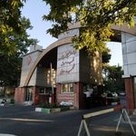 دکتر زهرا قائم مقامی(بیمارستان شهید رجایی)