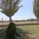 مجموعه ورزشی دهداری