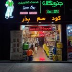 برگ سبز