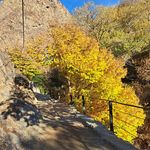 ساندویچی پاچنار 
