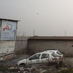 ماهی فروشی دریا