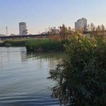 پارک ساحلی