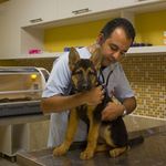 کلینیک دامپزشکی مهر