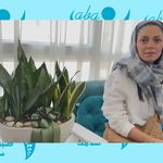 کلینیک فیزیوتراپی صبای سلامت دکتر هاشمی