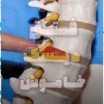 کلینیک فیزیوتراپی صبای سلامت دکتر هاشمی